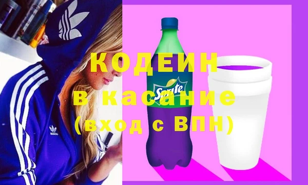 ПСИЛОЦИБИНОВЫЕ ГРИБЫ Гусев