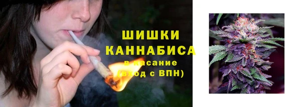 ПСИЛОЦИБИНОВЫЕ ГРИБЫ Гусев