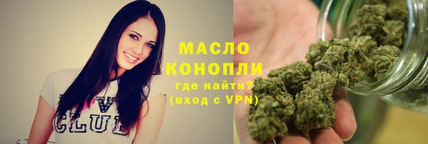 сатива Вяземский