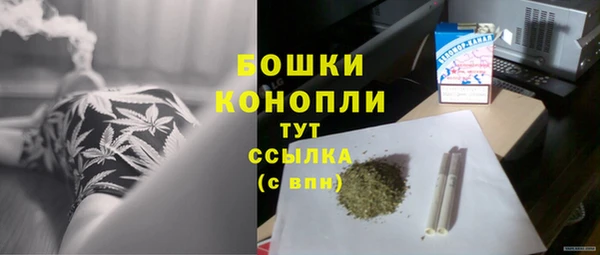 сатива Вяземский