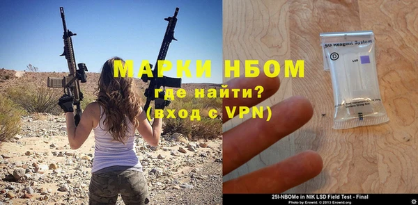 сатива Вяземский