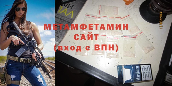 ПСИЛОЦИБИНОВЫЕ ГРИБЫ Гусев