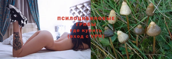 соль ск Вязьма