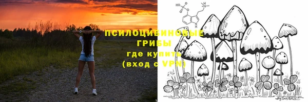сатива Вяземский